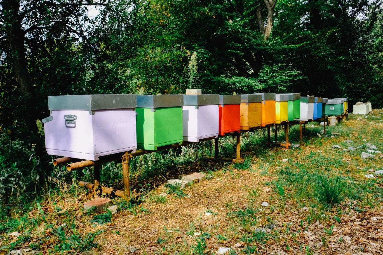 Agriturismo Ca' Fenile Alzano Lombardo Eksteriør billede