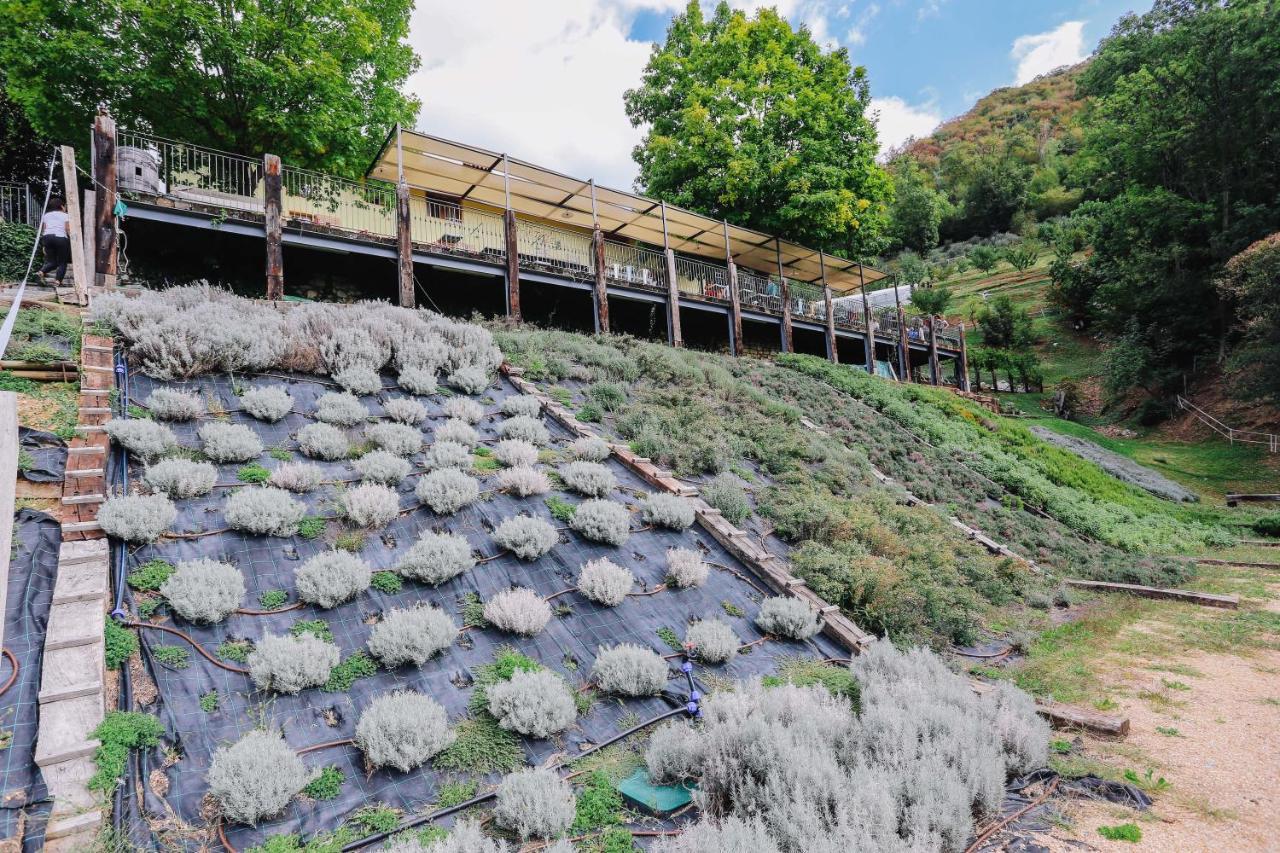 Agriturismo Ca' Fenile Alzano Lombardo Eksteriør billede